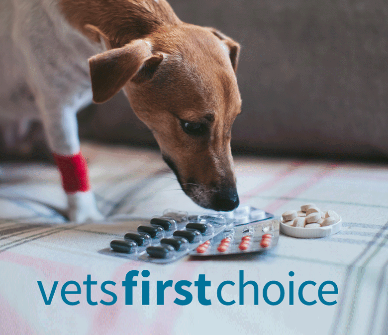 New-Vet’s-First-Choice